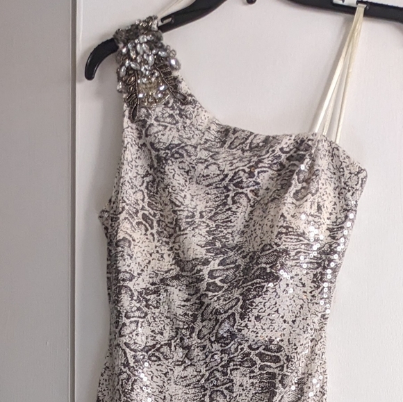 Cache long sequin dress/ size 2/ tan and grey - Picture 6 of 11